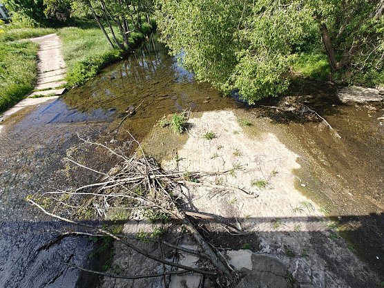 Kaum noch Durchfluss an der Zorge (Foto: Peter Blei)