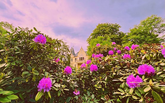 Nat&uuml;rliche Kunst im Garten des Kunsthauses Meyenburg (Foto: Stadtverwaltung Nordhausen)