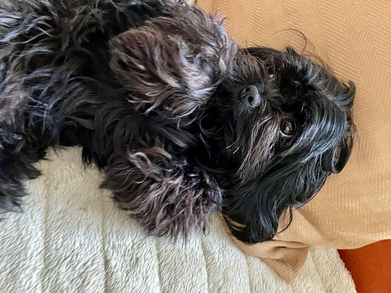 Wo ist Torvi? (Foto: K. K&ouml;ster)