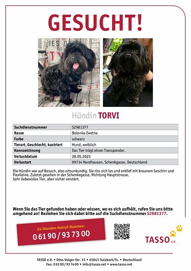 Tasso-Steckbrief zu Torvi (Foto: K. K&ouml;ster)