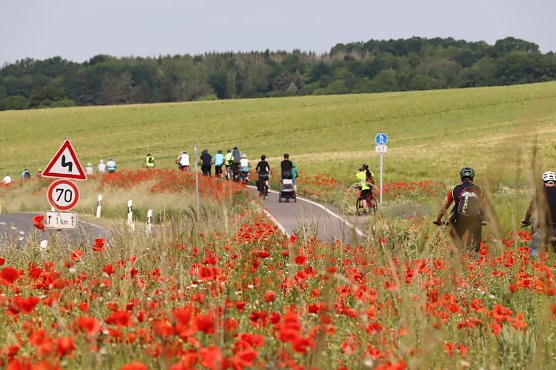 Das Nordhäuser Stadtradeln führt demnächst nach Stempeda (Foto: Stadt Nordhausen) Das Nordhäuser Stadtradeln führt demnächst nach Stempeda (Foto: Stadt Nordhausen)