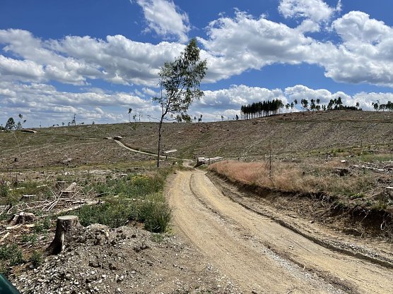 Blick auf das mögliche Baufeld (Foto: wpd onshore GmbH) Blick auf das mögliche Baufeld (Foto: wpd onshore GmbH)