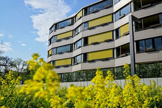 Ludwig geh&ouml;rt zu einem von zwei sanierten Wohnbl&ouml;cken im Ossietzky-Hof. Pr&auml;gend sind seine gro&szlig;en Balkone, durch die die Wohnfl&auml;che der Wohnungen deutlich vergr&ouml;&szlig;ert wurden (Foto: SWG Nordhausen/S. Schedwill)
