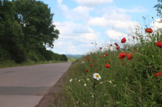 Wetterbild (Foto: agl)