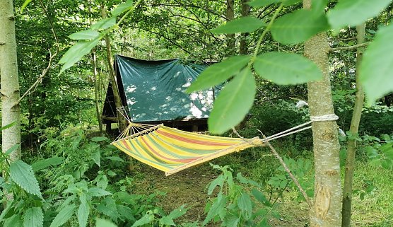 &Uuml;bernachtet wird auf einem einfachen Biwakplatz unter freiem Himmel � ohne Zelt, aber mit Blick in die Baumkronen.  (Foto: Janice Kauert)