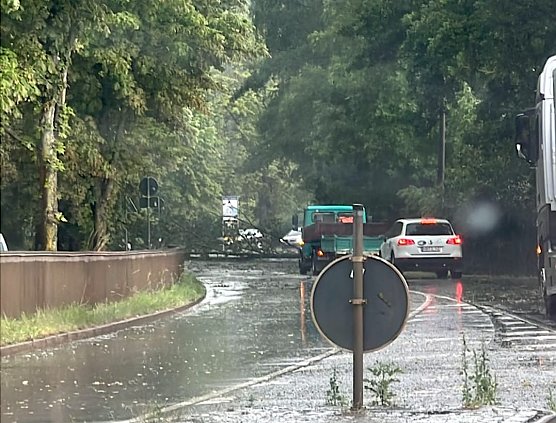 Umgest&uuml;rzter Baum &uuml;ber der B4 (Foto: privat)