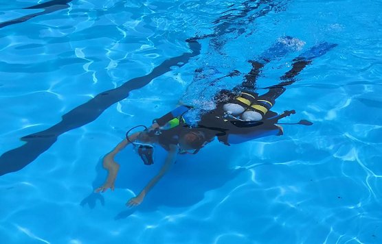 Tauchen im Ilfelder Freibad (Foto: TSC Neptun)