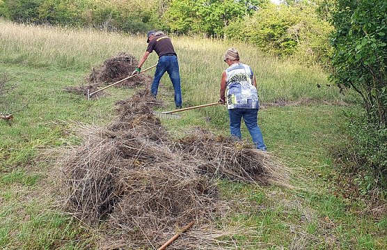 Kraft, Kondition und Naturliebe geh&ouml;ren bei der ehrenamtlichen Landschaftspflege zusammen. Zwei Enthusiasten harken am 24. Juli, um den wertvollen Magerrasen zu erhalten. (Foto: B. Schwarzberg)