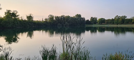Abendstille am Kiesschacht (Foto: Sylvia Schieblich) Abendstille am Kiesschacht (Foto: Sylvia Schieblich)
