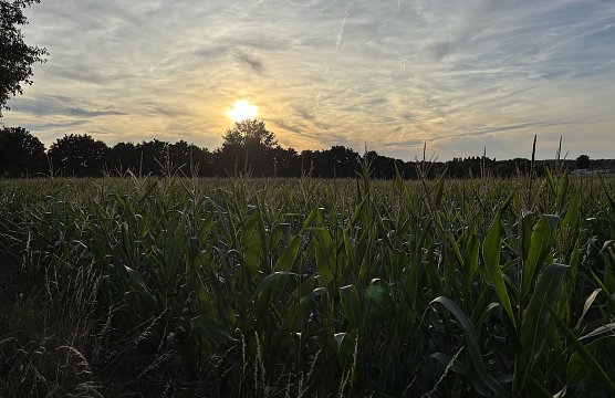 Die nächsten Tage werden regnerisch (Foto: oas) Die nächsten Tage werden regnerisch (Foto: oas)