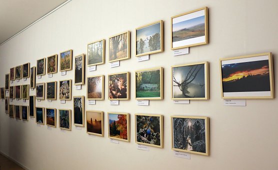 F&uuml;r die Ausstellung sind schon einige Bilder zusammengekommen (Foto: LPV S&uuml;dharz/ Kyffh&auml;user )