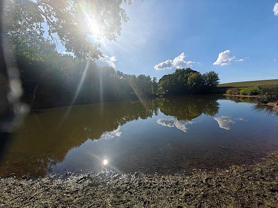 Peter Blei unterwegs am Wiesenteich (Foto: Peter Blei) Peter Blei unterwegs am Wiesenteich (Foto: Peter Blei)