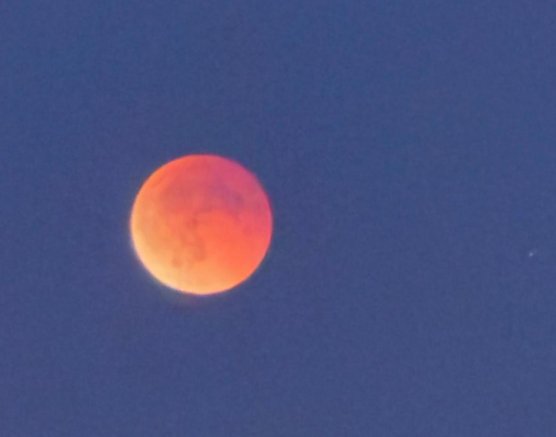 Blutmond &uuml;ber Nordhausen (Foto: Lenya Kurtz)