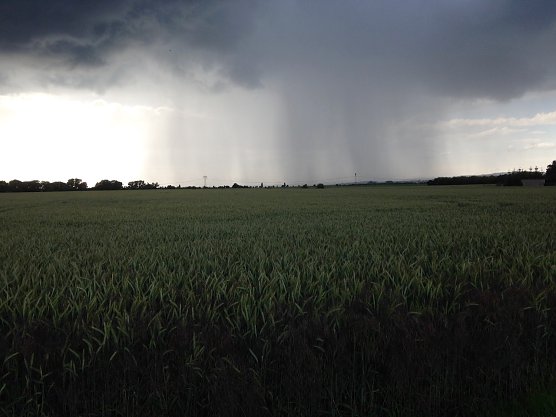 Das Wetterbild (Foto: nnz) Das Wetterbild (Foto: nnz)