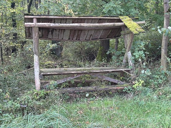 Weiterhin regnerisch, aber mild (Foto: oas)