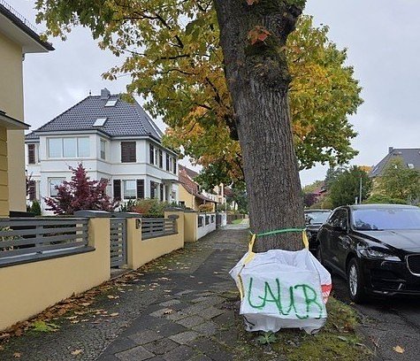 Laubsack im Wohngebiet (Foto: Stadtverwaltung Nordhausen )