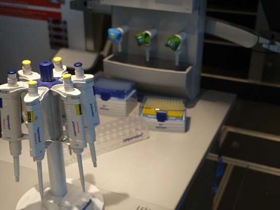 Profi-Pipetten (Foto: Angelo Glashagel) Profi-Pipetten (Foto: Angelo Glashagel)