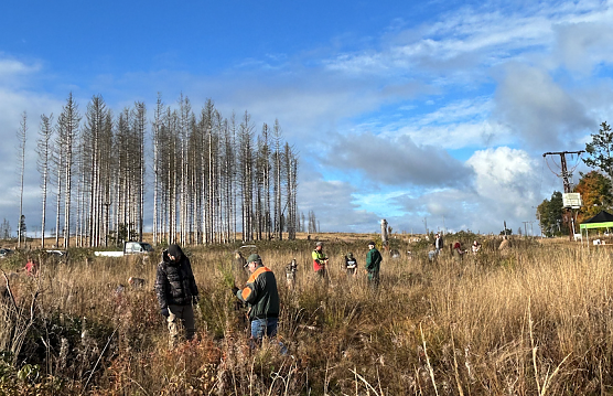 Pflanzaktion im Südharz (Foto: Gina Marie Kaufhold) Pflanzaktion im Südharz (Foto: Gina Marie Kaufhold)
