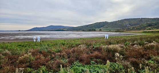 Suchaktion am Stausee Kelbra (Foto: Pressestelle Landratsamt)