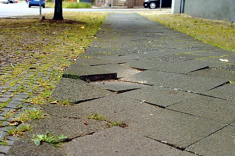 Stolpersteine (Foto: WF)