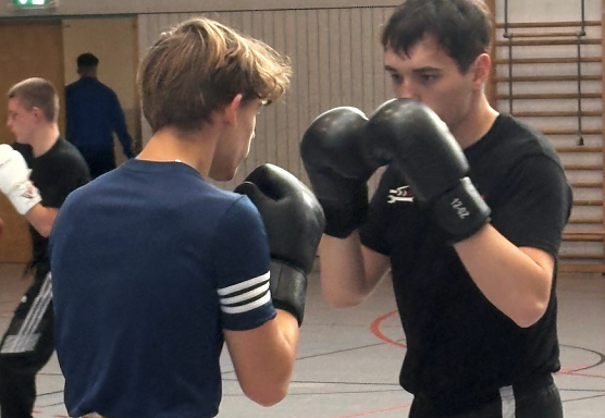 Boxtraining in der Wiedigsburghalle (Foto: BSG Altstadt 05)