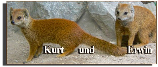 Kurt und Erwin (Foto: F. Jeschke)