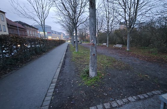 Das Zorgeufer in Nordhausen (Foto: nnz)