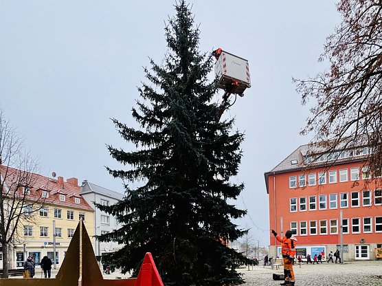 Schmücken des Weihnachtsbaums am Rathausplatz (Foto: Stadtverwaltung Nordhausen) Schmücken des Weihnachtsbaums am Rathausplatz (Foto: Stadtverwaltung Nordhausen)