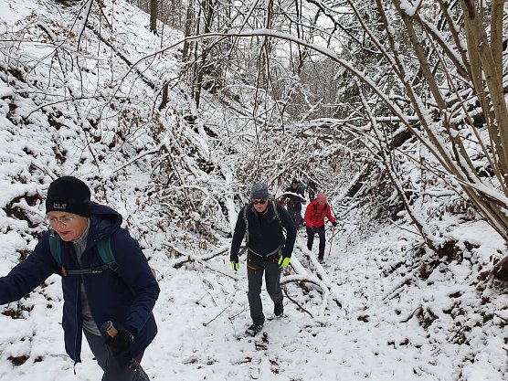 Beim 44. S&uuml;dharz-Hunderter am 3.12.2022 lag Schnee. Auf den ersten 10 Kilometern mussten wir auch einige, von umgest&uuml;rzten B&auml;umen beeintr&auml;chtigte Wegabschnitte bew&auml;ltigen.  (Foto: Bodo Schwarzberg)