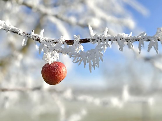 Winterimpressionen aus G&ouml;rsbach (Foto: S. Hartung)