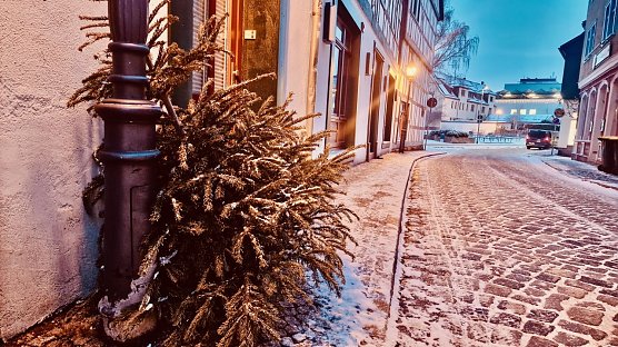 Wenn die ersten Weihnachtsb&auml;ume wieder vor der T&uuml;r landen, wird es auch im S&uuml;dharz Zeit, Knut zu feiern (Foto: agl)