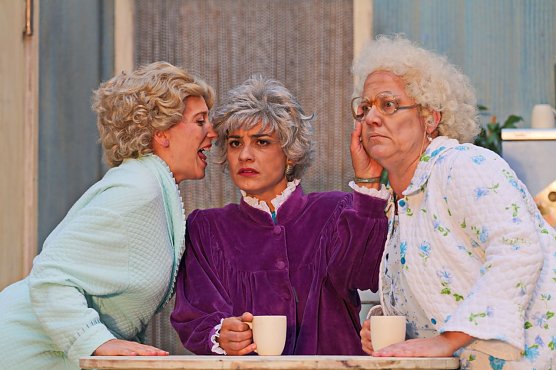 Die "Golden Girls" werden im Rahmen des HarzWinters im Harztheater gespielt.  (Foto: Elisabeth Rawald)