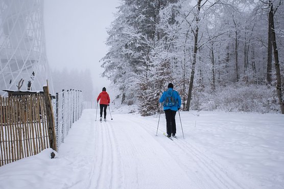 Die Loipe ab Rothes&uuml;tte ist wieder frisch gespurt. (Foto: Nicole Mattern)