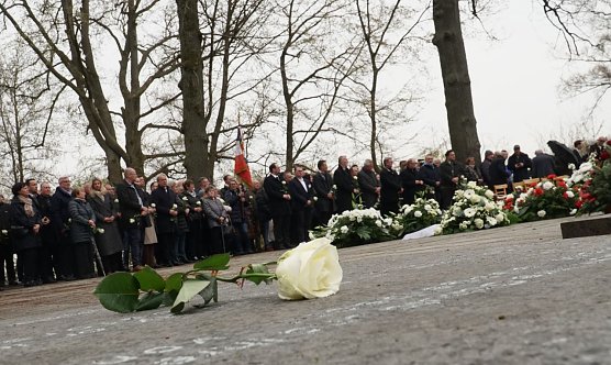 Gedenken zum 81. Jahrestag der Befreiung des KZ Mittelbau-Dora (Foto: agl)