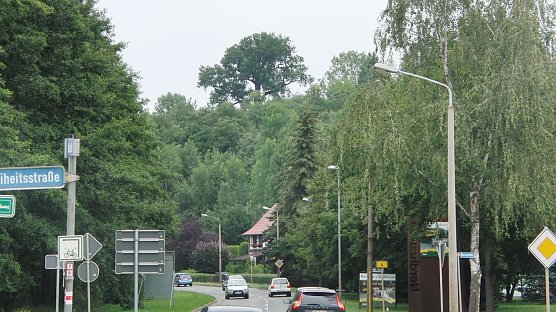 Der k&uuml;nftige Nationalbaum Flehm&uuml;ller-Eiche hoch oben &uuml;ber die B4: Am 13.07.2011 war der dicke Ast noch nicht abgebrochen. (Foto: B. Schwarzberg)
