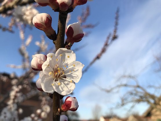 Wetterbild (Foto: S. Hartung)