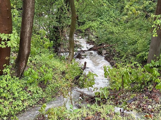 Wetterbild  (Foto: S. Dietzel)