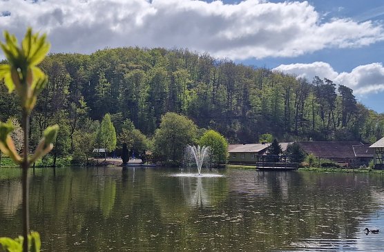 Fr&uuml;hling am Gondelteich in Neustadt (Foto: agl)
