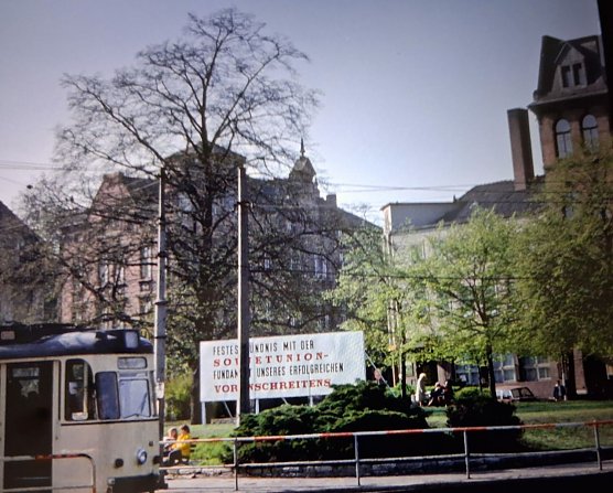 Die Linde auf dem ehemaligen Hoch-Beet war legend&auml;r. Blumen, B&auml;nke und Gr&uuml;n ringsum zierten es. Gern wurde auf den B&auml;nken verweilt. (Foto: Archiv K. Frank)