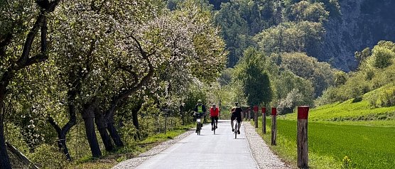 Bild: 