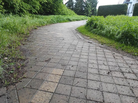&Uuml;ber den umgem&auml;hten Rasen im den Wohngebiet in Nordhausen-Ost &auml;rgert sich der Leser. Der Name ist der Redaktion bekannt.  (Foto: Leser/privat)