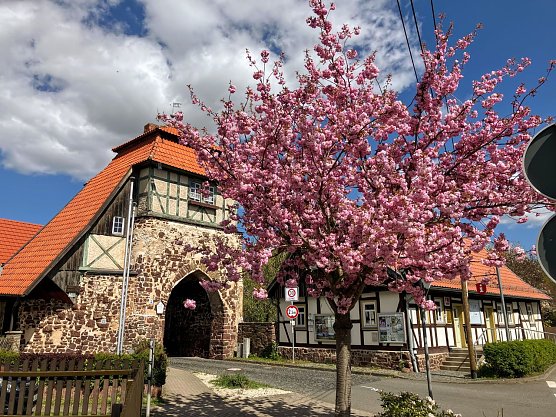 In Neustadt feiert man am 6. Juni den Naturschutztag. (Foto: ssc)