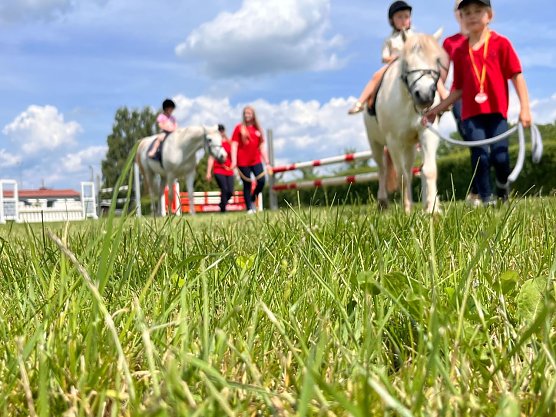 Kleine Pferdefreunde kommen in Gro&szlig;wechsungen auf ihre Kosten.  (Foto: Manuela Schneevoigt)