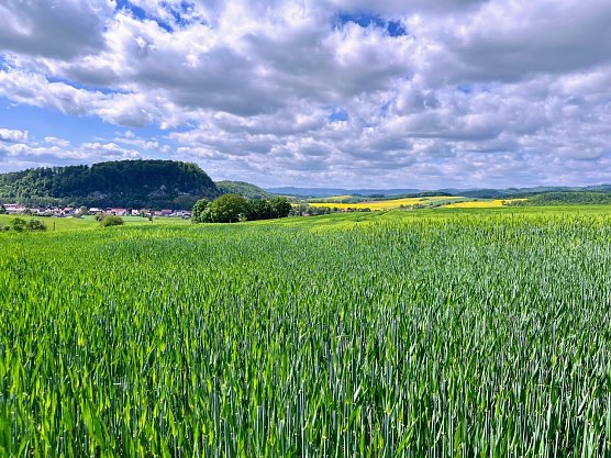 Symbolbild Wetter (Foto: ssc) Symbolbild Wetter (Foto: ssc)