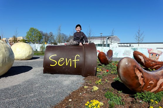 Jaro Hildebrandt (6) auf dem LGS-Gel&auml;nde (Foto: Stadt Leinefelde-Worbis)