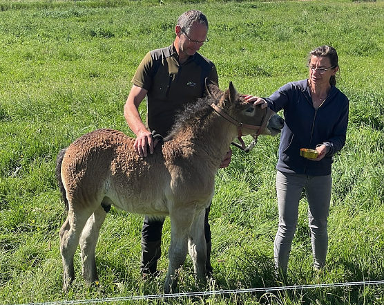 Taufe für "Heinz" (Foto: Beanke Agert) Taufe für "Heinz" (Foto: Beanke Agert)