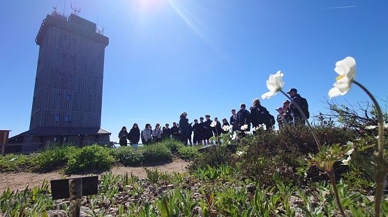 Botanische Exkursion des Humboldt-Gymnasiums auf den Brocken (Foto: Humboldt-Gymnasium)