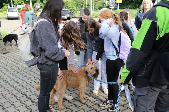 Bild: 