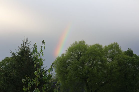 Bild: 