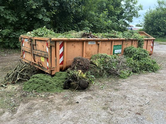 Bild: 
